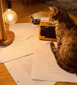 Bem Mais Que Uma História - Brevemente uma nova temporada