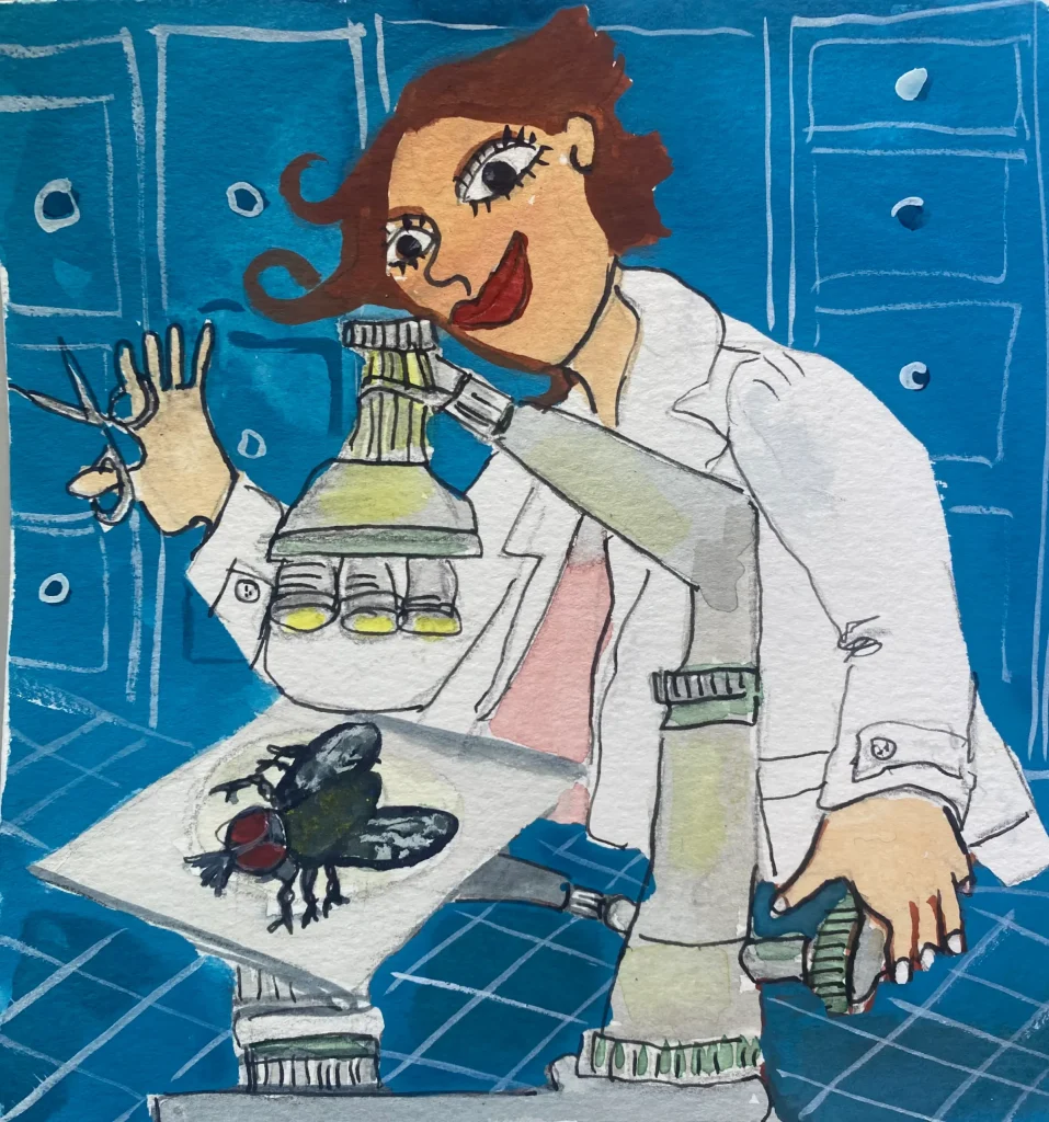 A Mosca Clotilde, Autoria de Teresa Torres