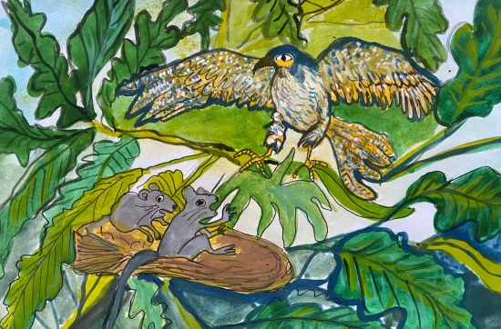 T9E5: A Ratinha que queria voar